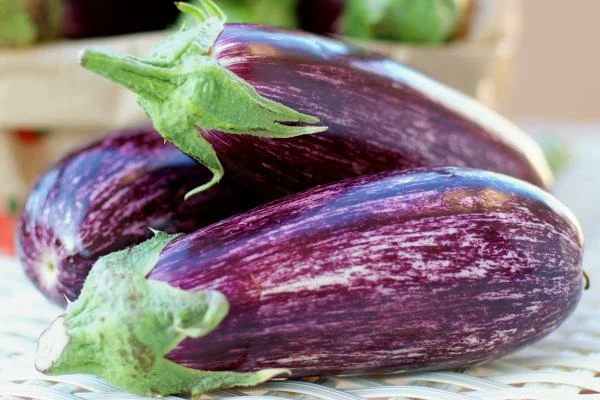 Dutch Eggplant Exports Surge to $103M in 2023